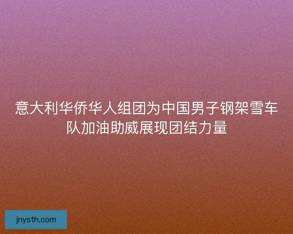 意大利华侨华人组团为中国男子钢架雪车队加油助威展现团结力量