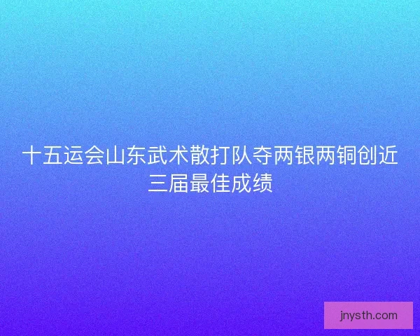 十五运会山东武术散打队夺两银两铜创近三届最佳成绩